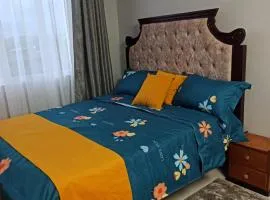 Bela Homes Large Deluxe studio Apartment