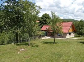 Kuća za odmor Dangubica