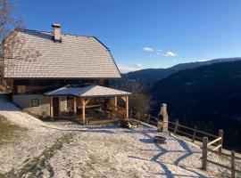Berghütte Reissnerhof