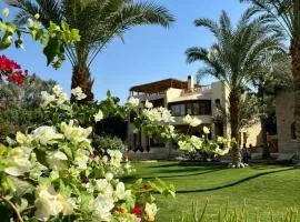 palm shadow resort