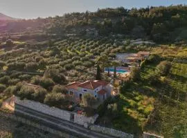 The Olive Grove Villas with swimming pool and breakfast