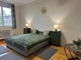 Csokonai apartman