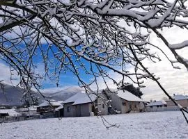 Apartmani Petrović SEMČE Suva Planina