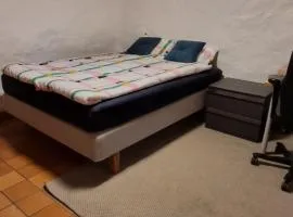 Big and cozy room in the middle of trondheim