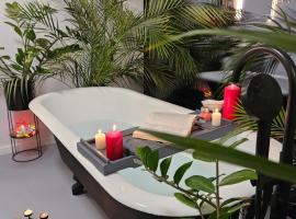 Black Walnut House with indoor outdoor fireplace, hotel en Izvoarele