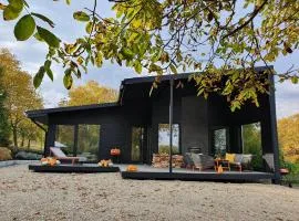 Black Walnut House with indoor outdoor fireplace