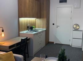 Apartman Glečer Vila Bela Reka, hotel v destinaci Brzeće