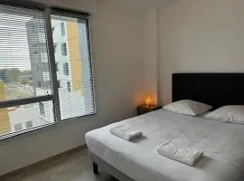 Colocation appartement terrasse XXL Port Marianne