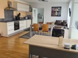 Apartment „Am Südhang“