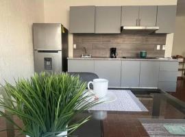 Morelos 67 Apartment, διαμέρισμα σε La Piedad Cavadas