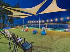 Namhae Spring, Summer, Fall, Winter Pet-