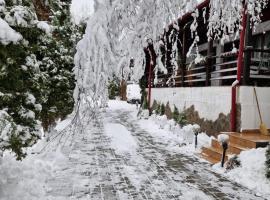 Rare Forest Retreat & Spa, viešbutis mieste Bran