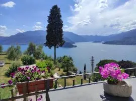 House Paradise
