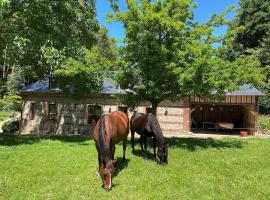 Grande et belle maison ancienne restaurée, hôtel à Écrainville