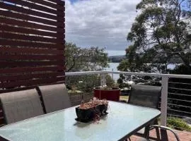 Views of the Tamar River