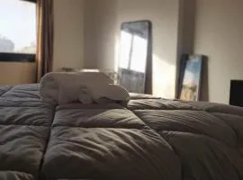 tranquil studio apartment