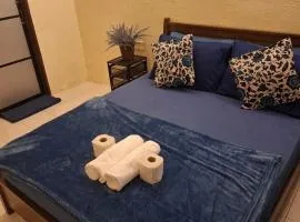 Seaput Homes