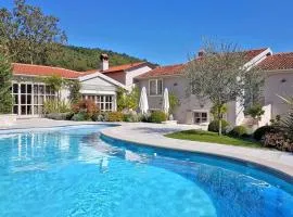 Beautiful Villa Zita with pool in Pican