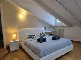Mohho suite