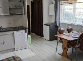 Charmant studio 19m² pour 4 pers., accès direct pistes, proche commerces et activités, Orcières - FR-1-262-81