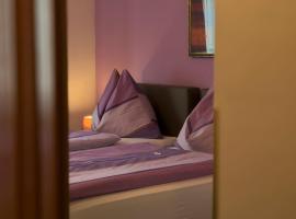 Pension Erlaa, &xi;&epsilon;&nu;ώ&nu;&alpha;&sigmaf; &sigma;&tau;&eta; &Beta;&iota;έ&nu;&nu;&eta;