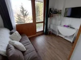 Charmant studio ski aux pieds avec terrasse et parking - FR-1-181-2847