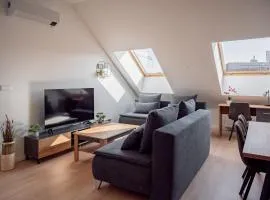 New Cozy Apartment in Heart of Bratislava FREE GARAGE PARKING