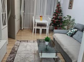 Apartament Ultra Central Marly Gura Humorului