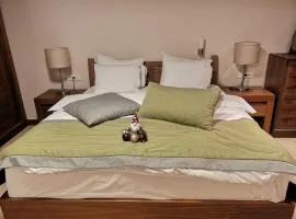 APARTMAN lux B614, Aparthotel Vučko, Jahorina, private host