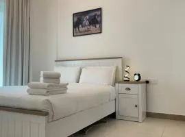 Sleek 1BR in DSO, Dubai