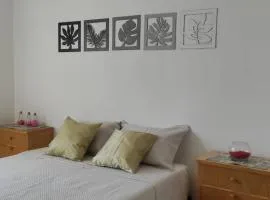 SILVESTRE - Departamento