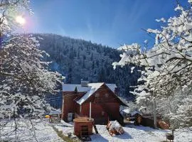 Pensiunea Cabana Viselor ,Apuseni
