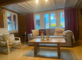 Cosy apartment in heritage protected swiss chalet