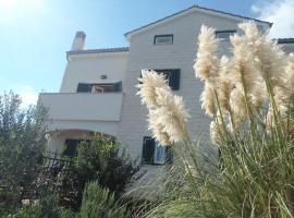 Apartments Azur, Hotel in Ilovik