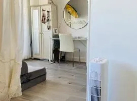 Appartement Paris vue imprenable