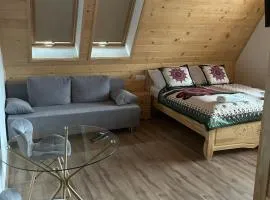 Pokoje Samo Centrum Zakopane ,,Willa Kasztelanka"