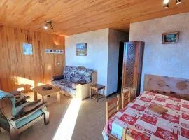 Charmant appart 4 pers, proche ski & rando, balcon, animaux admis - FR-1-393-146