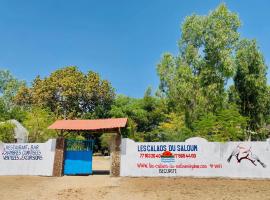 Les Calaos du Saloum