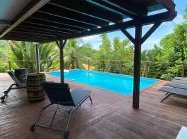 Ti Rode - Piscine vue mer et montagne