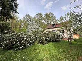 Prague Wellness Home, Forest Getaway