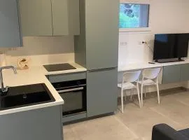 Charmant appartement hyper centre