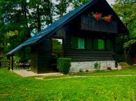 Apartma Dobnik, alojamiento con cocina en Mozirje