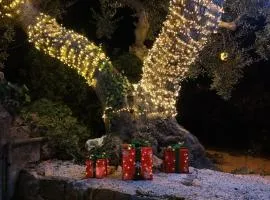 Trulli Donna Isabella 2