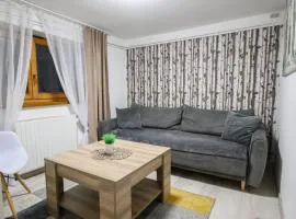 APARTAMENT TAJEMNICZY OGRÓD ŚCISŁE CENTRUM ZAKOPANE