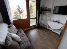 Résidence Le Chanteloup - joli Studio pied des pistes MAE-9431