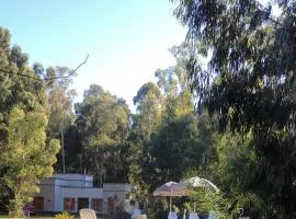 Viento Potro Casa de Campo