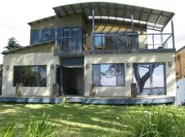 Beachfront Seagulls on Shoalhaven