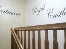 Royal castle Fruška gora