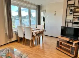 Studio Tournesol - De Panne
