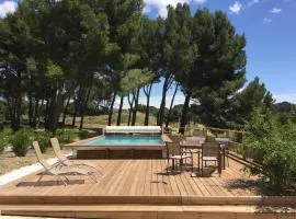 typical provencal farm in an exceptional natural site, the alpilles park - 8 people.